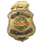 California Department Of Forestry CDF Equipment Operator Fire Mini Badge Pin